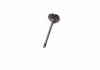 Клапан впускной IN FIAT/OPEL 194A1/939A5/939A6/Z22SE/Z22YH 35.2X6X102.2 (пр-во KS) KOLBENSCHMIDT 291109 (фото 2)