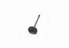 Клапан впускной IN FIAT/OPEL 194A1/939A5/939A6/Z22SE/Z22YH 35.2X6X102.2 (пр-во KS) KOLBENSCHMIDT 291109 (фото 4)