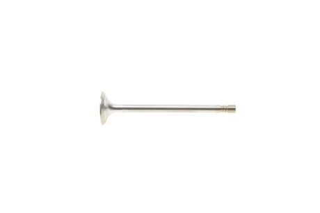 Exhaust valve VIKA 11090759401