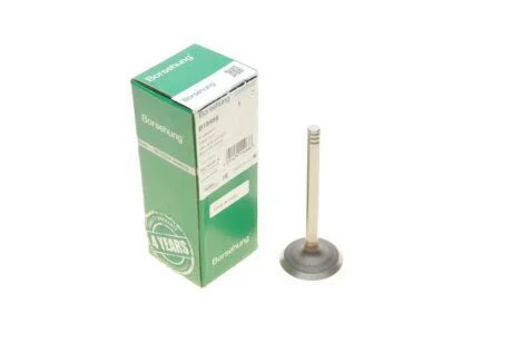 Intake valve BORSEHUNG B18998