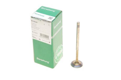 Intake valve BORSEHUNG B19025
