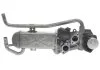 ZAWOR EGR STARLINE EDSTEG64N (фото 4)
