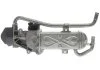 ZAWOR EGR STARLINE EDSTEG64N (фото 5)