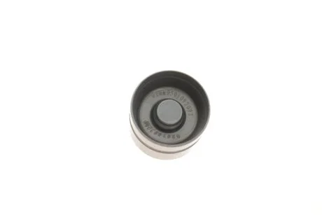 Tappets VIKA 11090224201