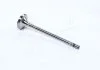 Клапан-EXH SSANGYONG D20DT/D27DT (вир-во PMC-ESSENCE) PARTS-MALL HCZD001E (фото 3)