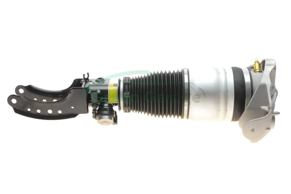 Air shock absorber assembly / front left VIKA 46160000501 (фото 1)