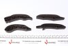Комплект ГРМ (ланцюг + елементи) BMW TRUCKTEC 0812074 (фото 2)