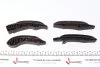 Комплект ГРМ (ланцюг + елементи) BMW TRUCKTEC 0812074 (фото 2)