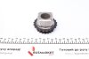 Комплект ГРМ (ланцюг + елементи) BMW TRUCKTEC 0812074 (фото 7)