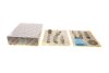 Комплект ланцюга ГРМ AIC 59010Set (фото 1)