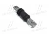 Втулка подвески Hyundai Elantra 00-06 Coupe 02-09 KIA Cerato 04- OLD CVKH-60 (пр-во) CTR GV0052 (фото 1)
