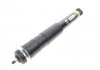 Амортизатор задній Arnott SK-3311 ARNOTT SK3311 (фото 1)