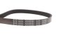 Пасок велоклиновий BLUE PRINT AD05R685 (фото 4)