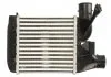 Інтеркулер BMW 5 (E39), 7 (E38) 2.5D 01.96-05.04 THERMOTEC DAB021TT (фото 2)