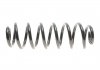 Фото 4 - пружина підвіски EIBACH R21093 Пружина підвіски EIBACH R21093 (фото 4)