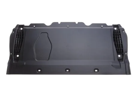 Engine/gearbox assy skid plate DPA 88631698202