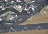 Прокладка FULL HYUNDAI D4BA/D4BX (вир-во) PARTS-MALL PFAN050 (фото 8)