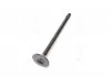 Клапан выпускной D4CB (пр-во PMC-ESSENCE) PARTS-MALL HCZA020E (фото 4)