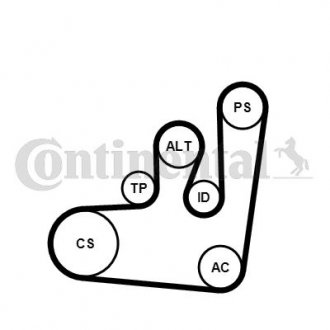 Комплект (ремінь+ролики+помпа) CONTITECH 6PK1145 WP1