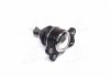 Опора шаровая нижняя SsangYong Kyron 05- Actyon 06- OLD CBKS-7 CTR CB0242 (фото 3)