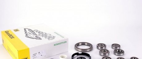 Набір підшипників коробки передач RENAULT LAGUNA/VEL SATIS/TRAFIC/MASTER 1,9-2,2 DCI 00- LUK 462023110