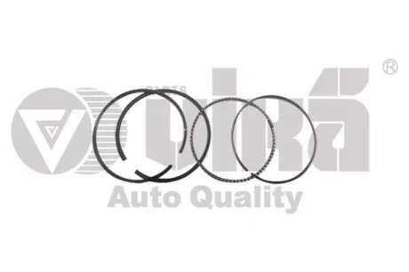 Piston ring VIKA 11980798101