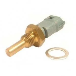 Датчик температури рідини охолодження DELPHI TS1023712B1 (фото 1)