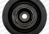 Шків паса поліклинового з демфером Land Rover Freelander 2.0d NTN SNR DPF35005 (фото 1)