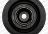 Шків паса поліклинового з демфером Land Rover Freelander 2.0d NTN SNR DPF35005 (фото 1)
