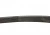 Pasek wielorow.8PK0975 VO.FH16 Gates GATES 8PK975HD (фото 3)
