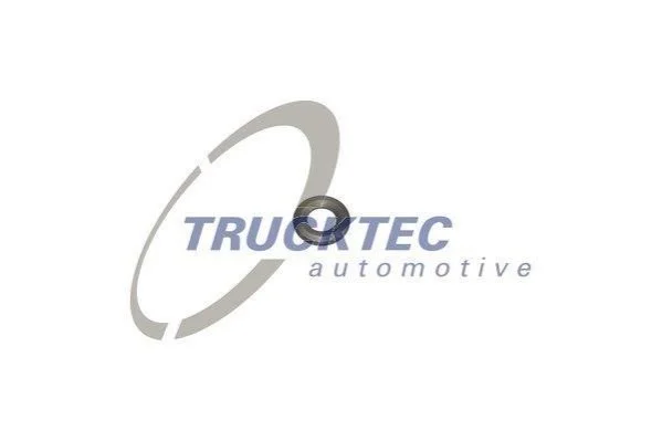 Шайба термозахисту системи вприску TRUCKTEC 0210070 (фото 1)