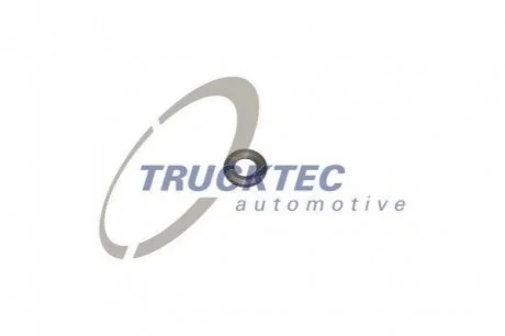 Шайба термозахисту системи вприску TRUCKTEC 0210070