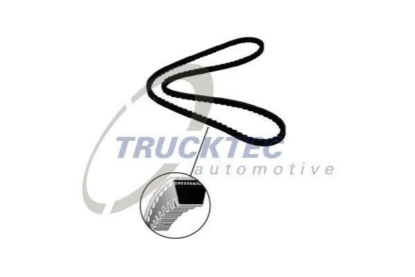 Клиновий ремінь TRUCKTEC 0119187 (фото 1)