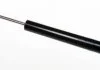 Амортизатор DENCKERMANN DSB025G (фото 1)