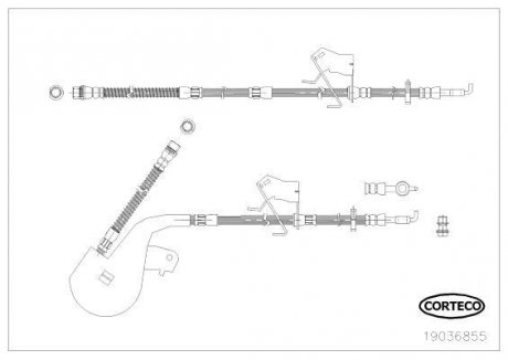 CORTECO 19036855