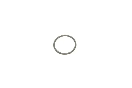 O-RING,23.9X2.15 HONDA 15509RZ0G01