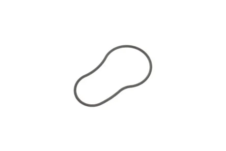 O-RING D HONDA 15504RZ0G01