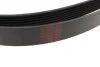 Пасок велоклиновий FEBI BILSTEIN 176965 (фото 3)