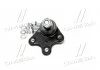 Опора шаровая нижняя L VW Polo 02- Polo 02-09 Fox Audi A2 00-05 Skoda Seat (пр-во) CTR CB0552L (фото 2)