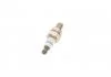 SWIECA ZAPL. BOSCH 0242050510 (фото 2)