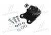 Опора шаровая нижняя R VW Polo 02- Polo 02-09 Fox Audi A2 00-05 Skoda Seat (пр-во) CTR CB0552R (фото 1)