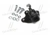Опора шаровая нижняя R VW Polo 02- Polo 02-09 Fox Audi A2 00-05 Skoda Seat (пр-во) CTR CB0552R (фото 2)