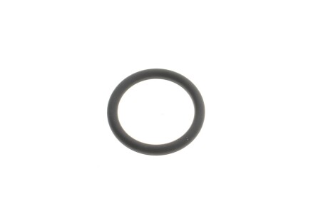 O-RING BMW 11618579883