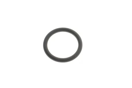 O-RING BMW 11618579883