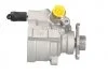 Насос гідропідсилювача Master/Movano 2.3 dCi 10- MSG OP 031 (фото 1)