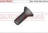 Гвинт, гальмівний супорт QUICK BRAKE 11676 (фото 1)