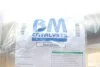 Фільтр сажі BM CATALYSTS BM31034H (фото 2)