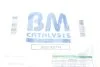 Фільтр сажі BM CATALYSTS BM31021H (фото 2)