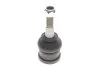 Опора кульова (передня/знизу) Chrysler Voyager IV/Dodge Caravan 00-08 (d=37.74mm) SKF VKDS318903 (фото 1)