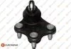 Опора кульова (передня/знизу/R) VW Polo/Skoda Fabia 1.0-2.0 99- EUROREPAR 1634911180 (фото 1)